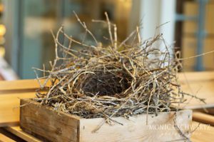 Twig-nest-at-the-Shed-in-Healdsburg-California