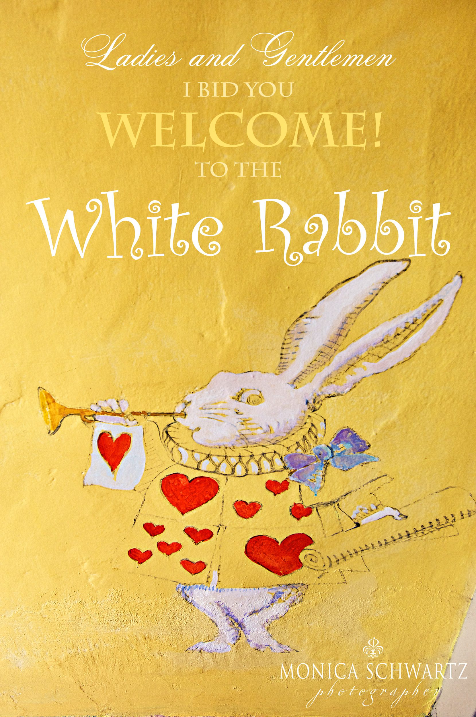 The-White-Rabbit-shop-in-Carmel-by-the-Sea-California