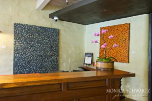 Kopol-Bonick-Art-Exhibition-at-Robert-Mondavi-Winery-tasting-room-Napa-Valley-California