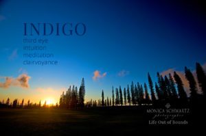 Sunset-on-the-golf-course-Lanai-desktop-wallpaper-color-and-wellbeing-indigo