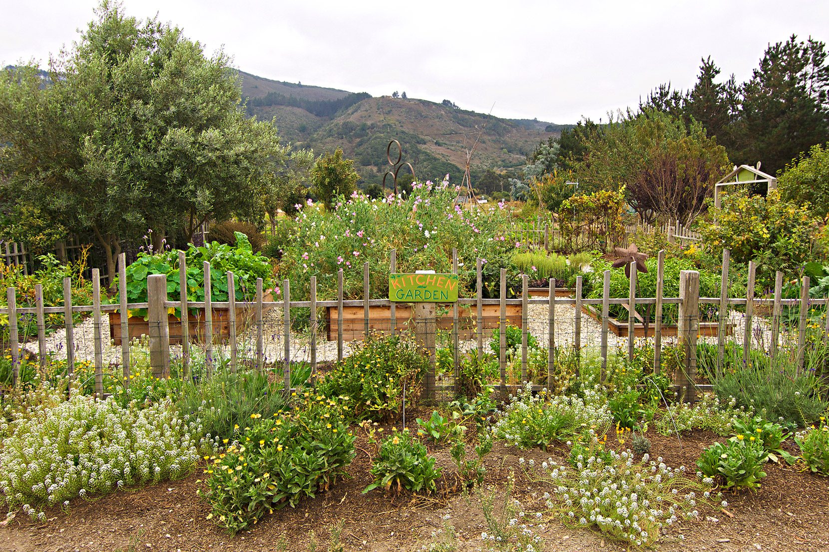 Kitchen-garden-at-Earthbound-Farms-in-Carmel-Valley-California