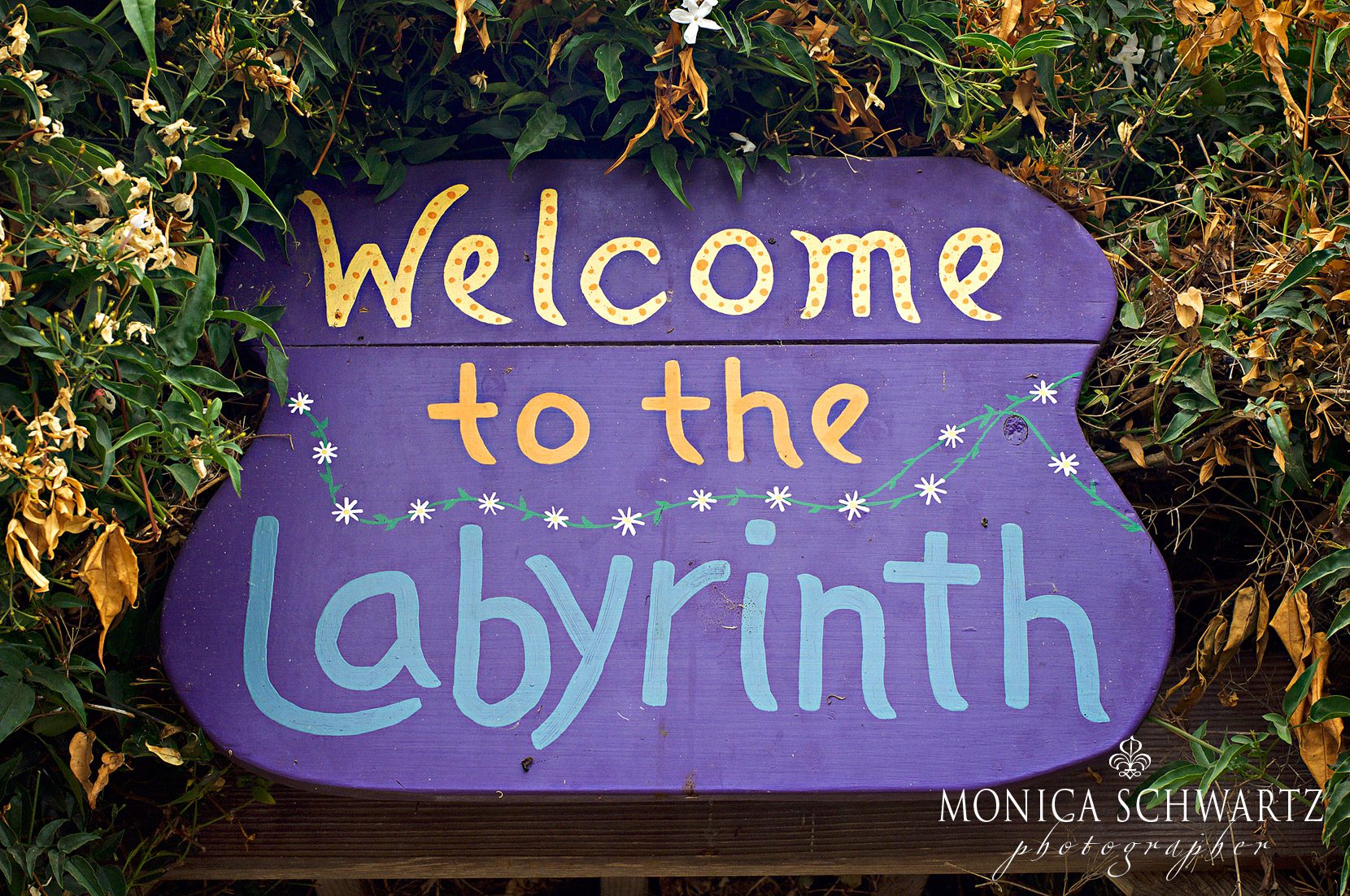 Labyrinth-at-Earthbound-Farms-in-Carmel-Valley-California