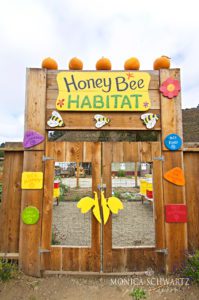 Honey-Bee-habitat-and-hives-at-Earthbound-Farms-Carmel-Valley-California