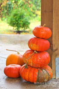 Pumpkin-season-at-Earthbound-Farms-farm-stand-in-Carmel-Valley-California