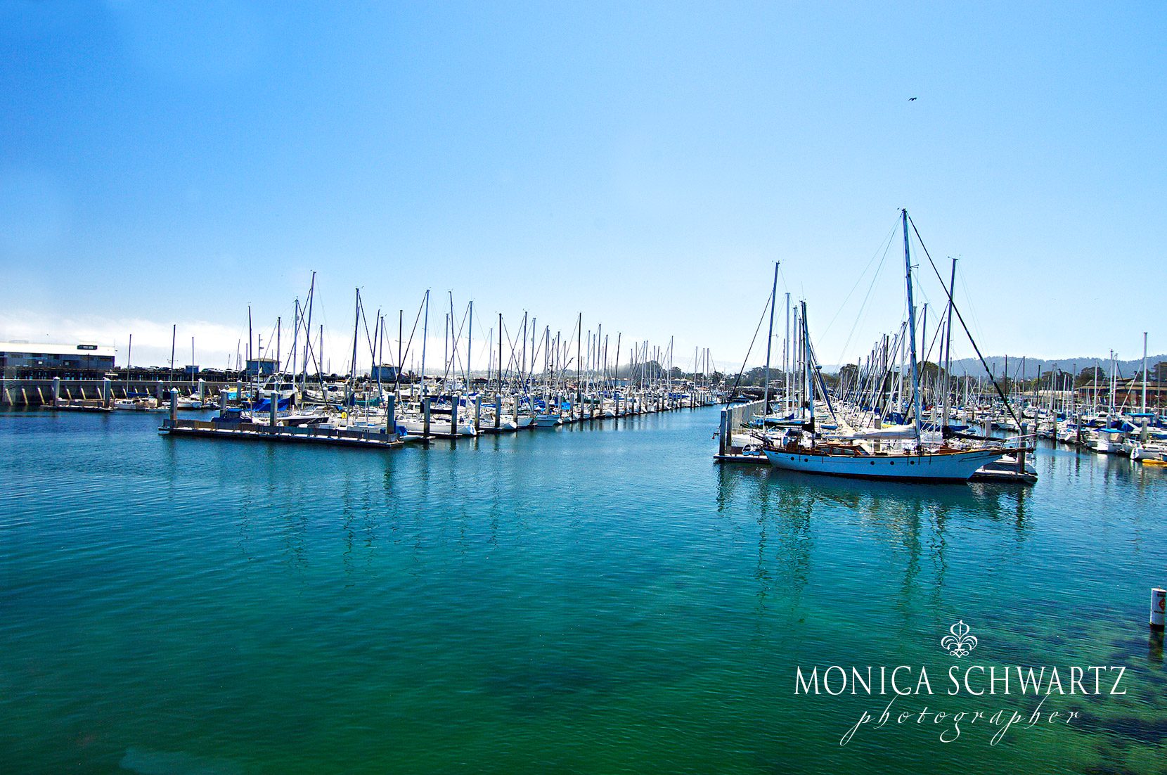 View-on-the-marina-from-Scales-Restaurant-at-Fishermans-Wharf-in-Monterey-California