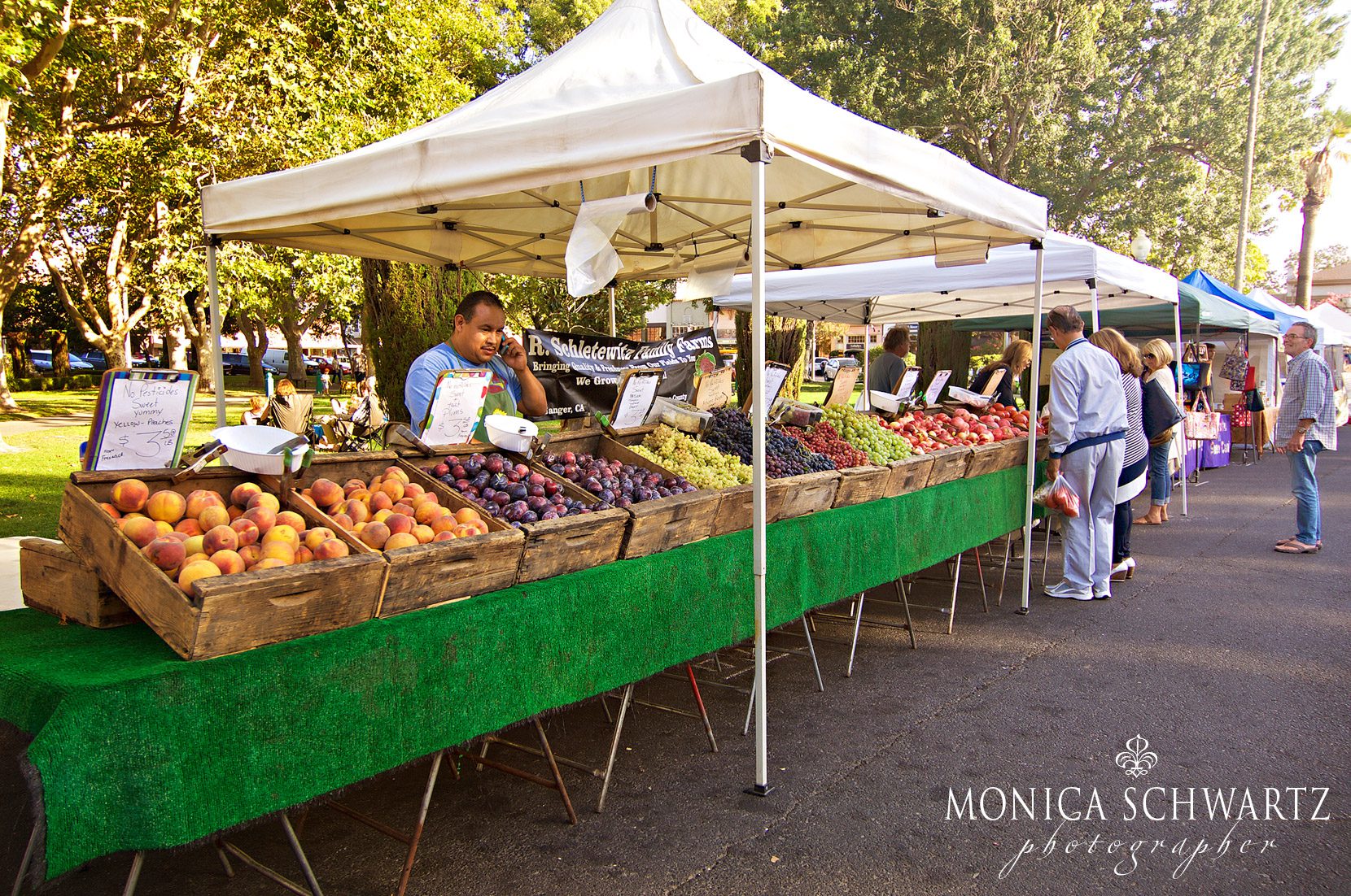 Fresh-produce-at-the-Sonoma-Plaza-Farmers-Market-in-Sonoma-California