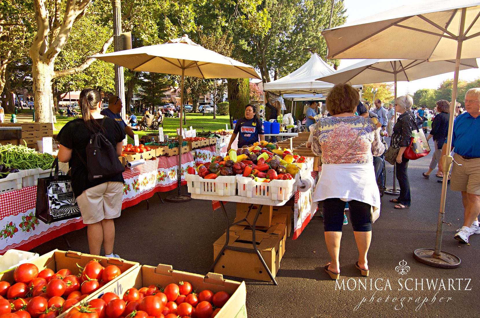 Sonoma-Plaza-Farmers-Market-in-Sonoma-California