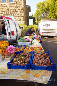 Fresh-figs-and-produce-at-the-Sonoma-Plaza-Farmers-Market-in-Sonoma-California