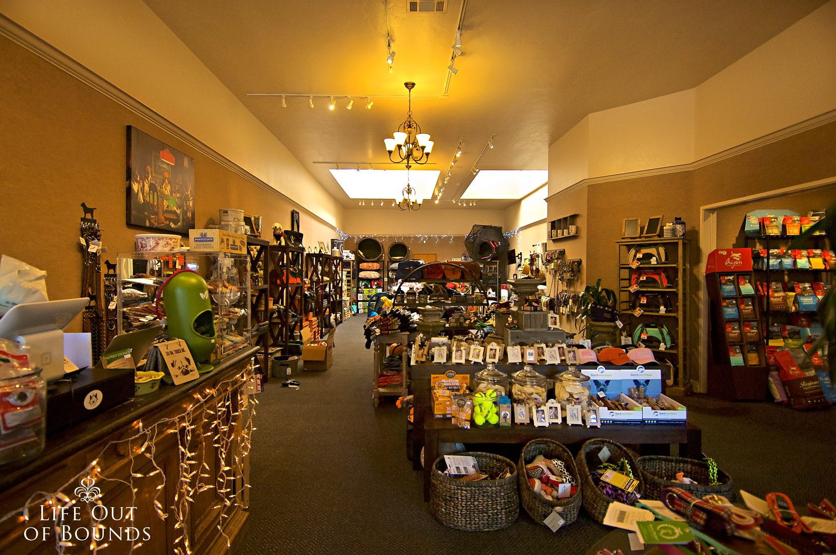 The-Dog-House-pet-store-in-Carmel-California