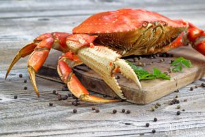 Recipe-for-Dungeness-crab-salad-with-avocado-citrus-and-celery