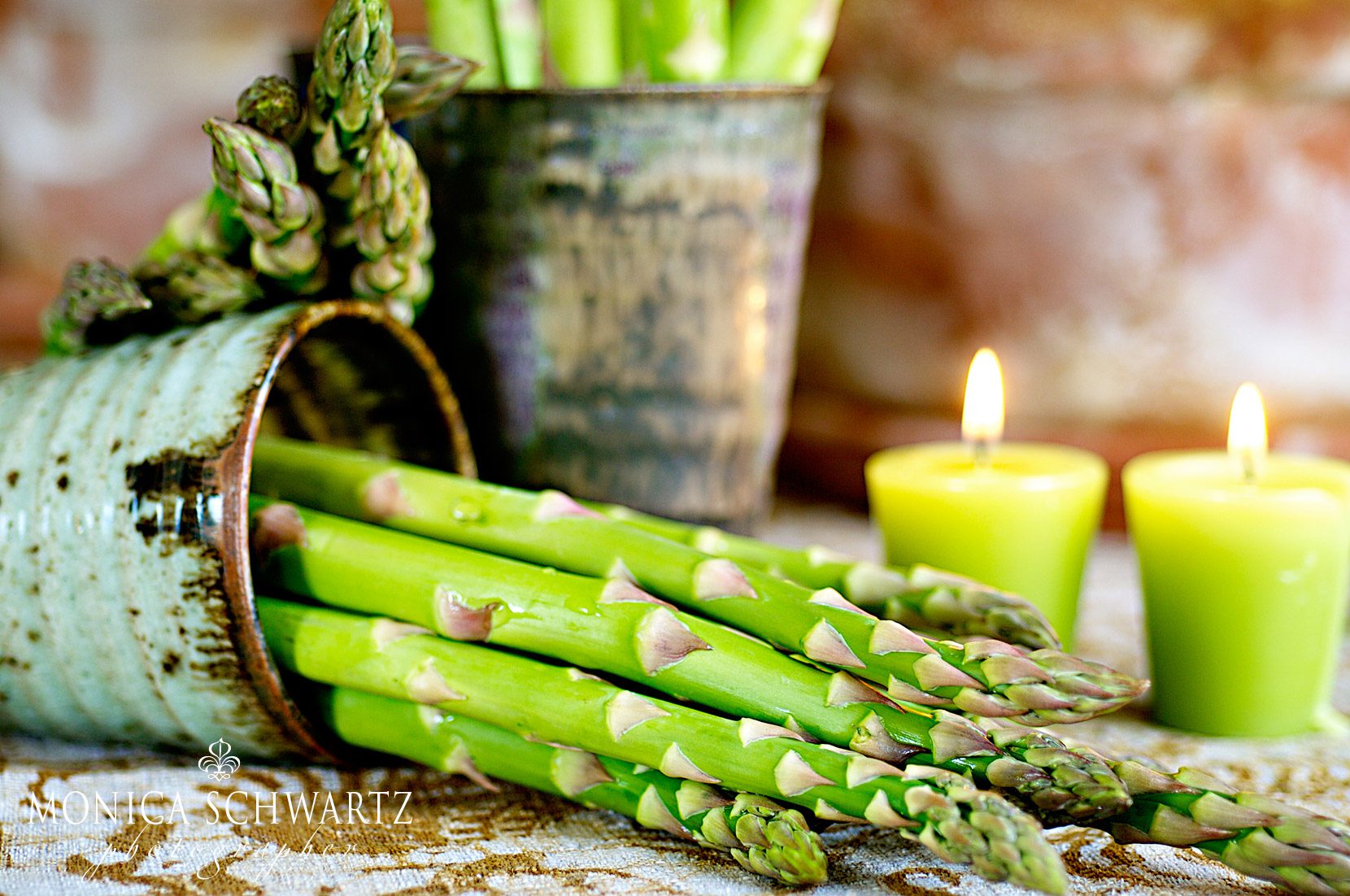 Fresh-spring-asparagus-fine-art-photography