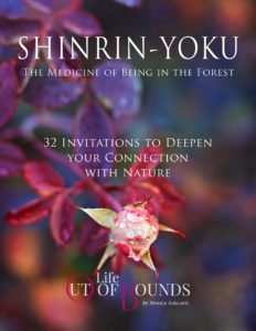 Free-e-book-with-32-Shinrin-Yoku-forest-bathing-invitations-to-help-deepen-your-connection-with-nature