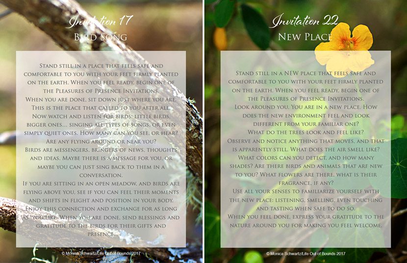 Shinrin-Yoku-forest-bathing-invitations-e-book-sample-pages