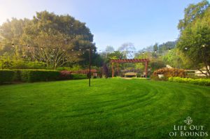 Early-morning-in-the-garden-in-April-Napa-California