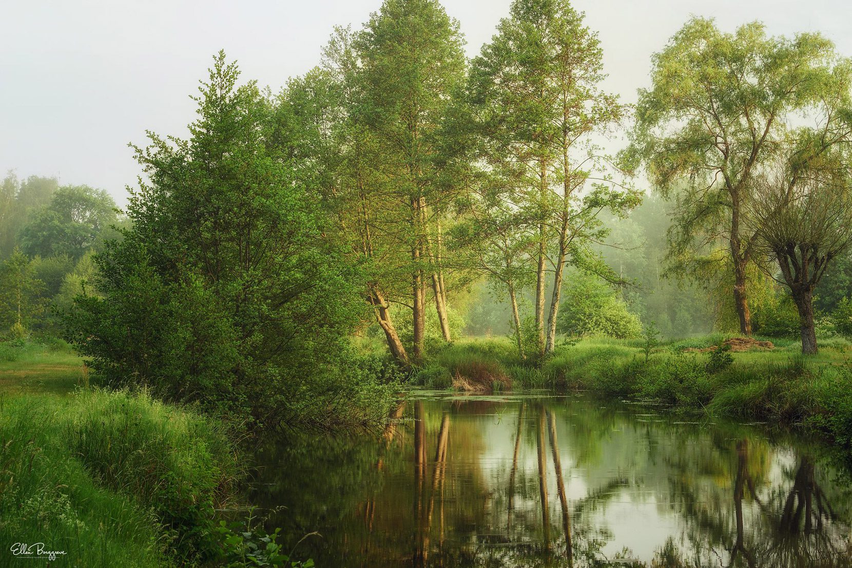 Spring-morning-by-the-river-in-Holland-photo-by-Ellen-Borggreve