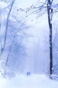 Vienna-woods-Wienerwald-in-winter-with-snow-photography-by-Monica-Schwartz