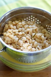 Boiled-and-drained-cannellini-beans-photography-by-Monica-Schwartz