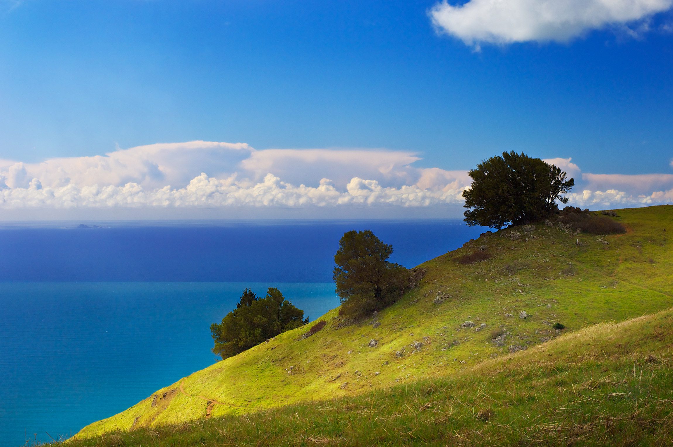 Hiking-Mount-Tamalpais-Marin-County-California-photography-by-Monica-Schwartz