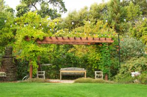 Late-summer-in-a-garden-in-Napa-California-photography-by-Monica-Schwartz