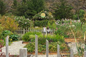 Herb-and-kitchen-garden-at-Earthbound-FarmStand-in-Carmel-Valley-California-photography-by-Monica-Schwartz