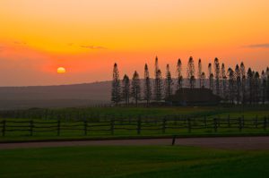 Sunset-over-the-stables-at-Lodge-at-Koele-Lanai-Hawaii-photography-by-Monica-Schwartz