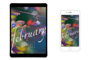 February-2018-tablet-and-smartphone-wallpaper-freebie