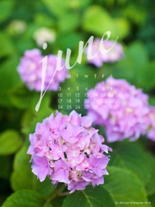 Hydrangea-June-Calendar-Wallpaper-for-ipad-and-tablet