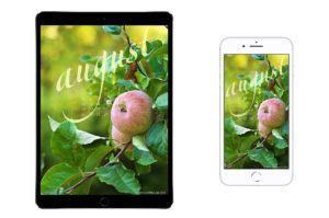 August-2018-calendar-wallpaper-for-iPad-tablet-iPhone-smartphone