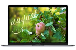 August-2018-calendar-wallpaper-for-laptop-and-desktop