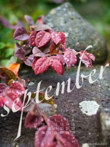 September-2018-calendar-wallpaper-for-ipad-and-tablet