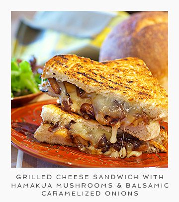 Recipe-for-Grilled-Cheese-Sandwith-with-Hamakua-Mushrooms-and-Balsamic-Caramelized-Onions