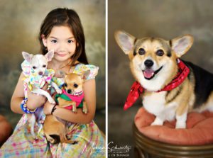 Portraits-of-cute-dogs-of-Hawaii