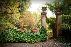 Private-garden-in-Italy-at-the-start-of-fall