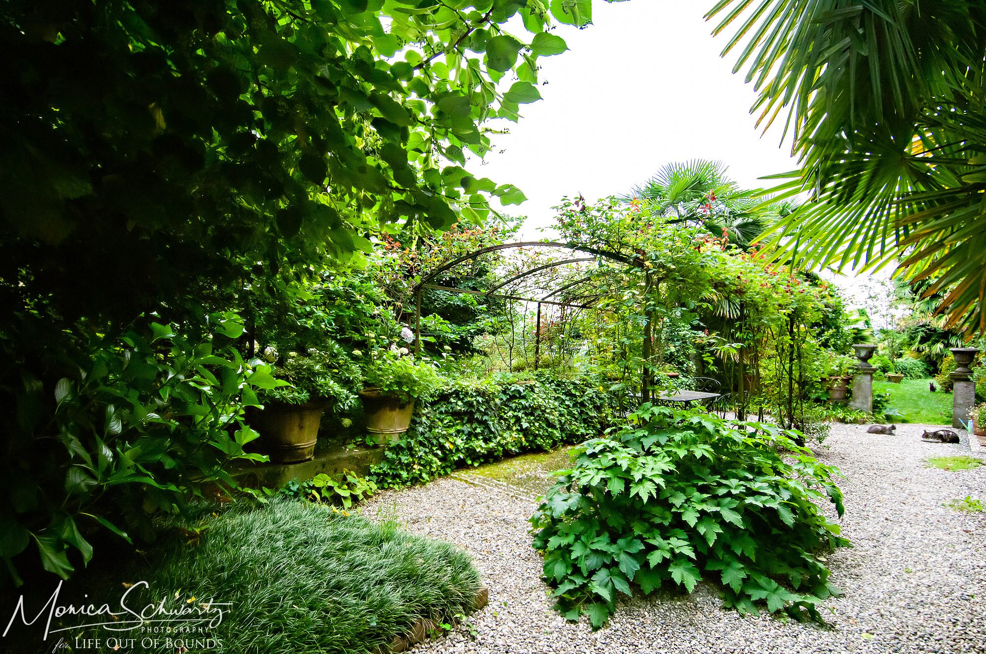 Beautiful-private-garden-in-Northern-Italy