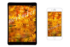 November-2018-calendar-wallpaper-for-iPhone-smartphone-iPad-tablet