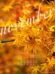 November-2018-calendar-wallpaper-for-iPad-tablet