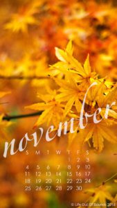 November-2018-calendar-wallpaper-for-iPhone-smartphone