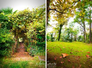 Private-garden-and-forest-in-Italy-at-the-start-of-fall