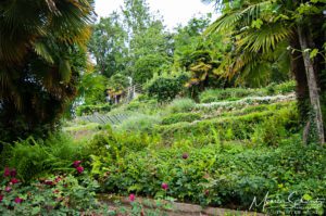 Terraced-vegetable-garden-in-spring-Italy