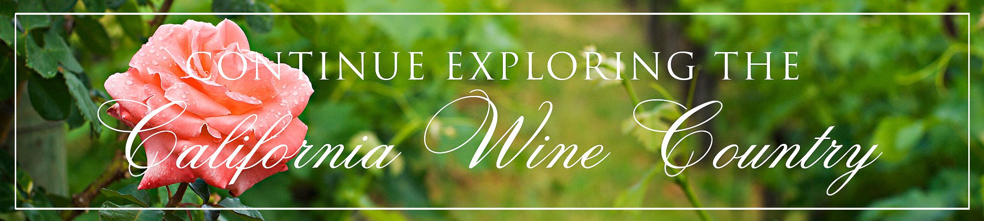 Explore-the-California-Wine-Country