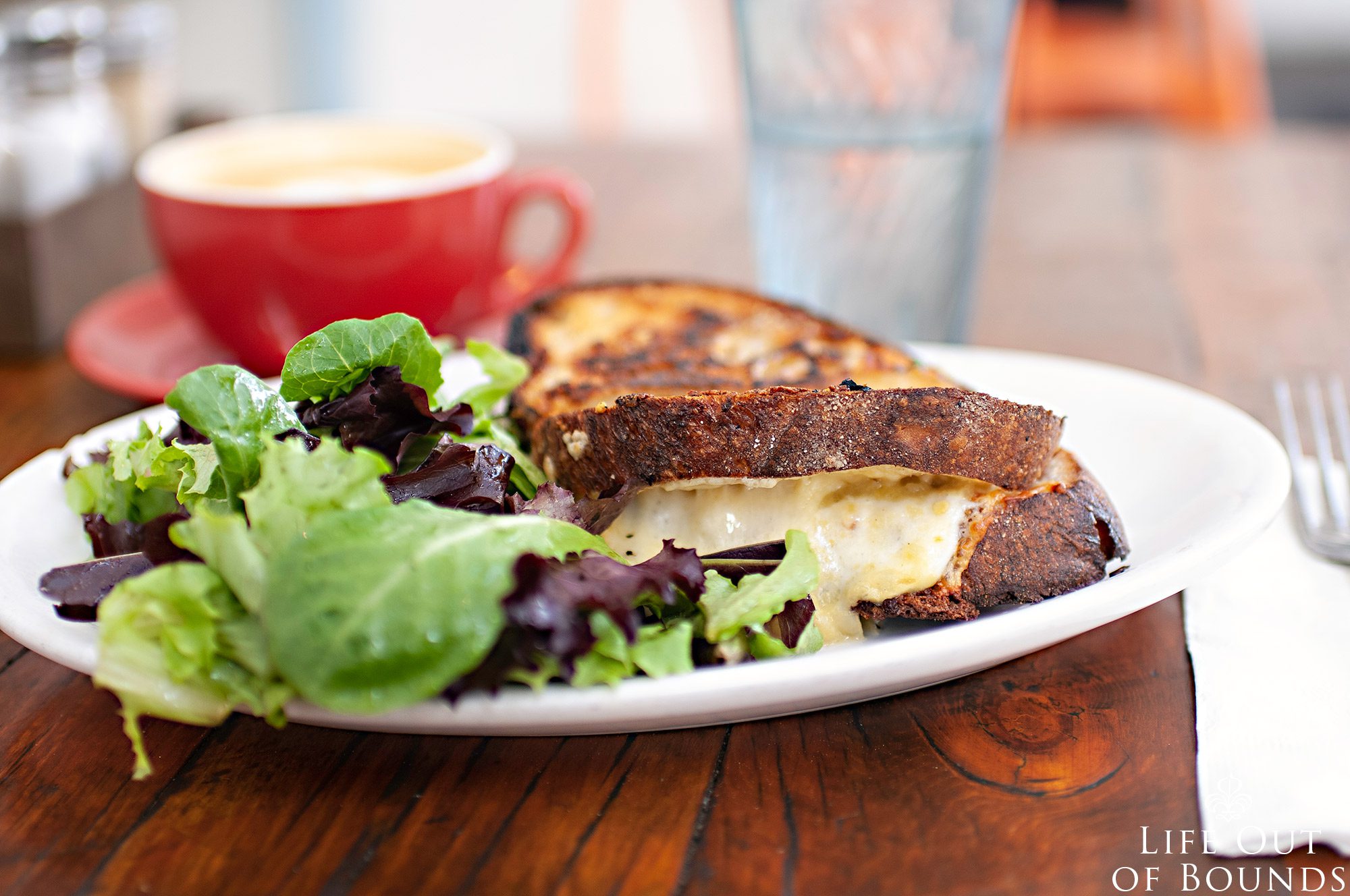 Grilled-Cheese-Sandwich-and-Salad-at-Sunflower-Caffe-in-Sonoma-California