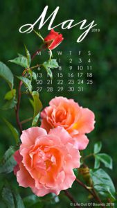 May-2019-free-calendar-wallpaper-for-iPhone-smartphone
