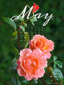 May-2019-free-calendar-wallpaper-for-iPad-tablet
