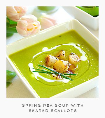 Recipe-for-Spring-Pea-Soup-with-Seared-Scallops