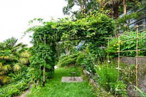 Garden-shower-under-the-vines