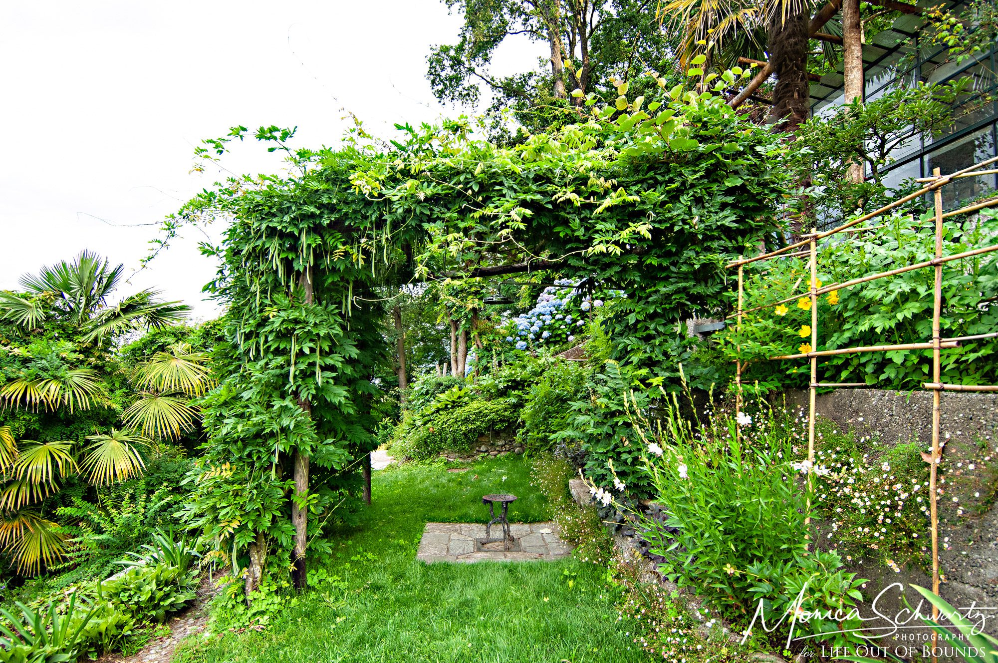 Garden-shower-under-the-vines