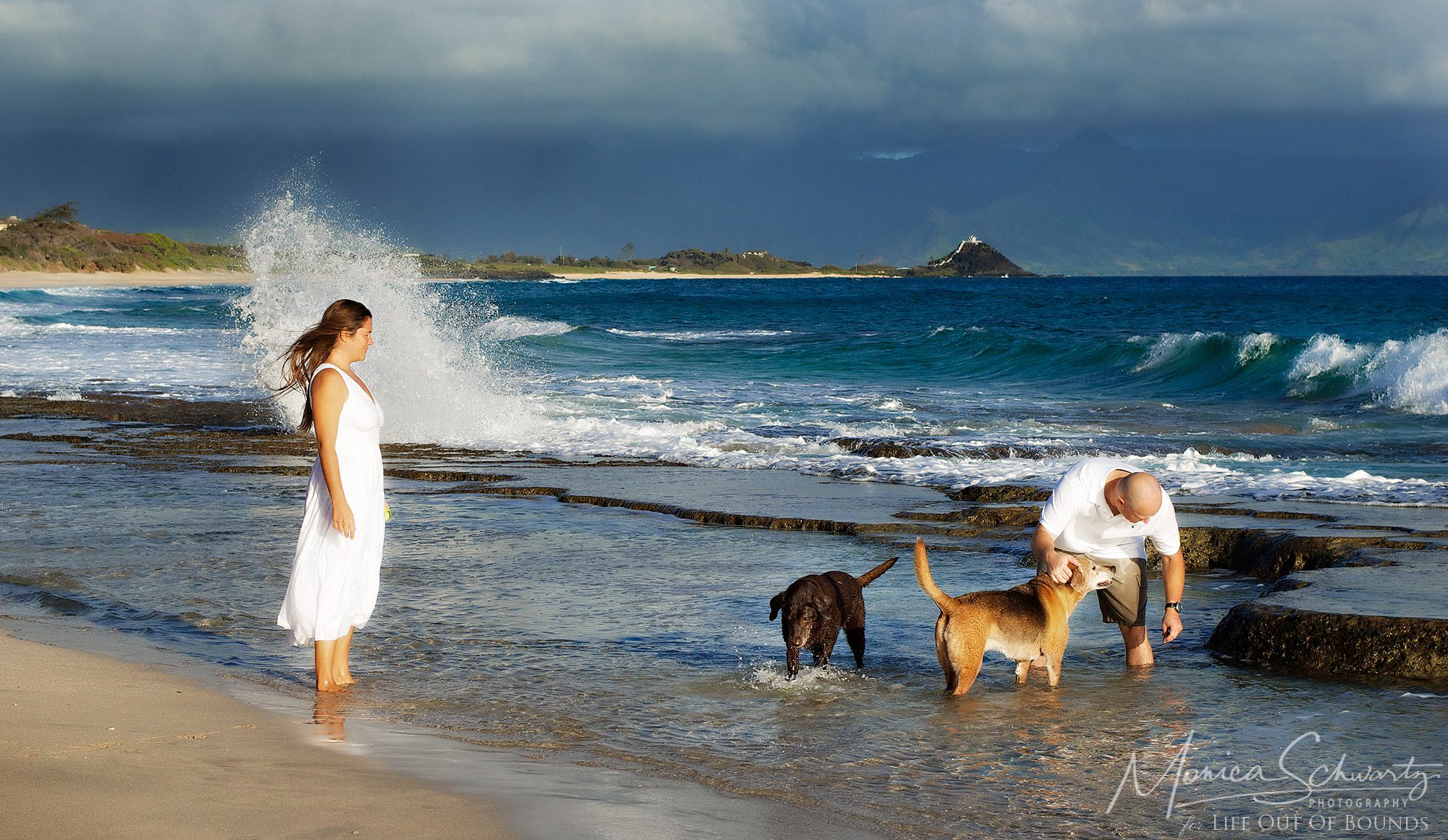 Family-time-with-the-dogs-at-the-beach-Kaneohe-Oahu-Hawaii