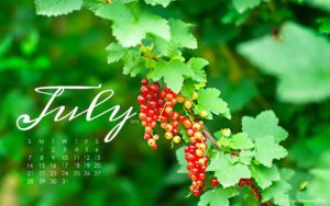 July-2019-calendar-wallpaper-for-laptop-and-desktop-red-currants-in-the-garden