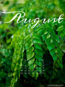 August-2019-free-calendar-wallpaper-for-iPad-tablet