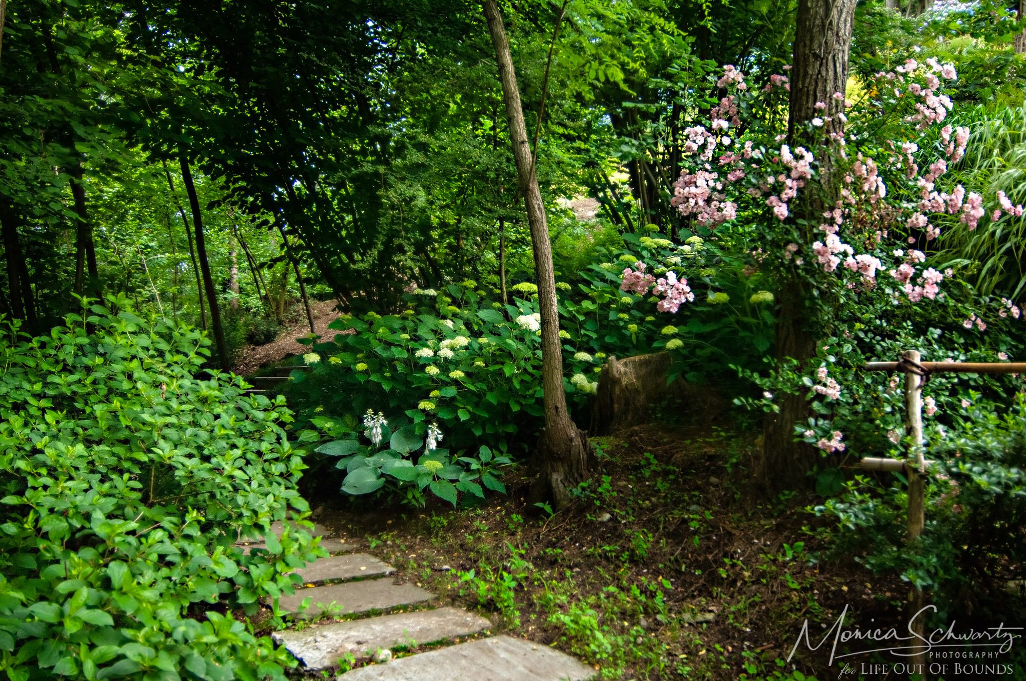 Forest-therapy-in-an-Italian-garden